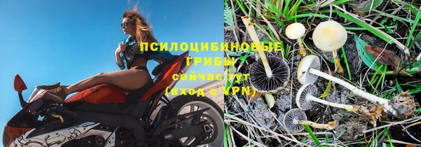 бошки Баксан